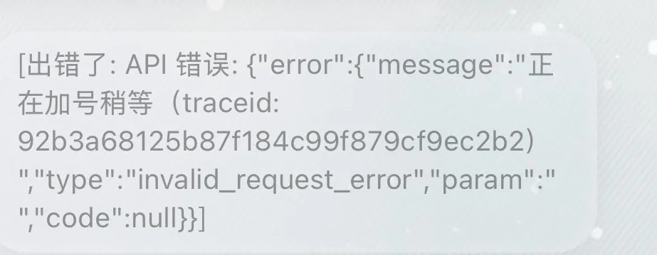 API错误：正在加号稍等